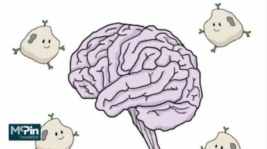 A graphic of a brain, with four amorphous characters circling it, smiling, to represent inflammation. Taken from a booklet on inflammation and psychosis.